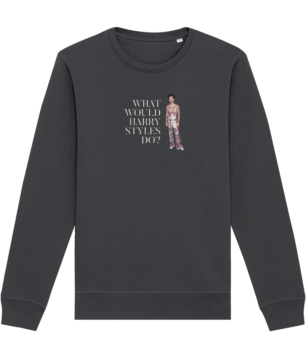 Contemporary 'What Would Harry Styles Do?' Organic Cotton Sweatshirt - Fun Sweatshirt