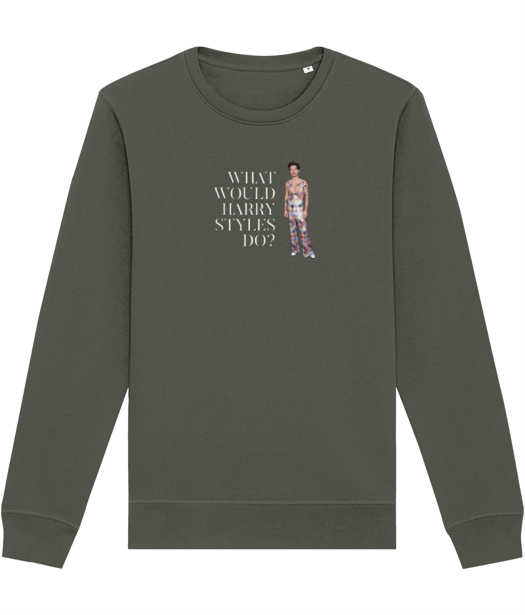 Contemporary 'What Would Harry Styles Do?' Organic Cotton Sweatshirt - Fun Sweatshirt