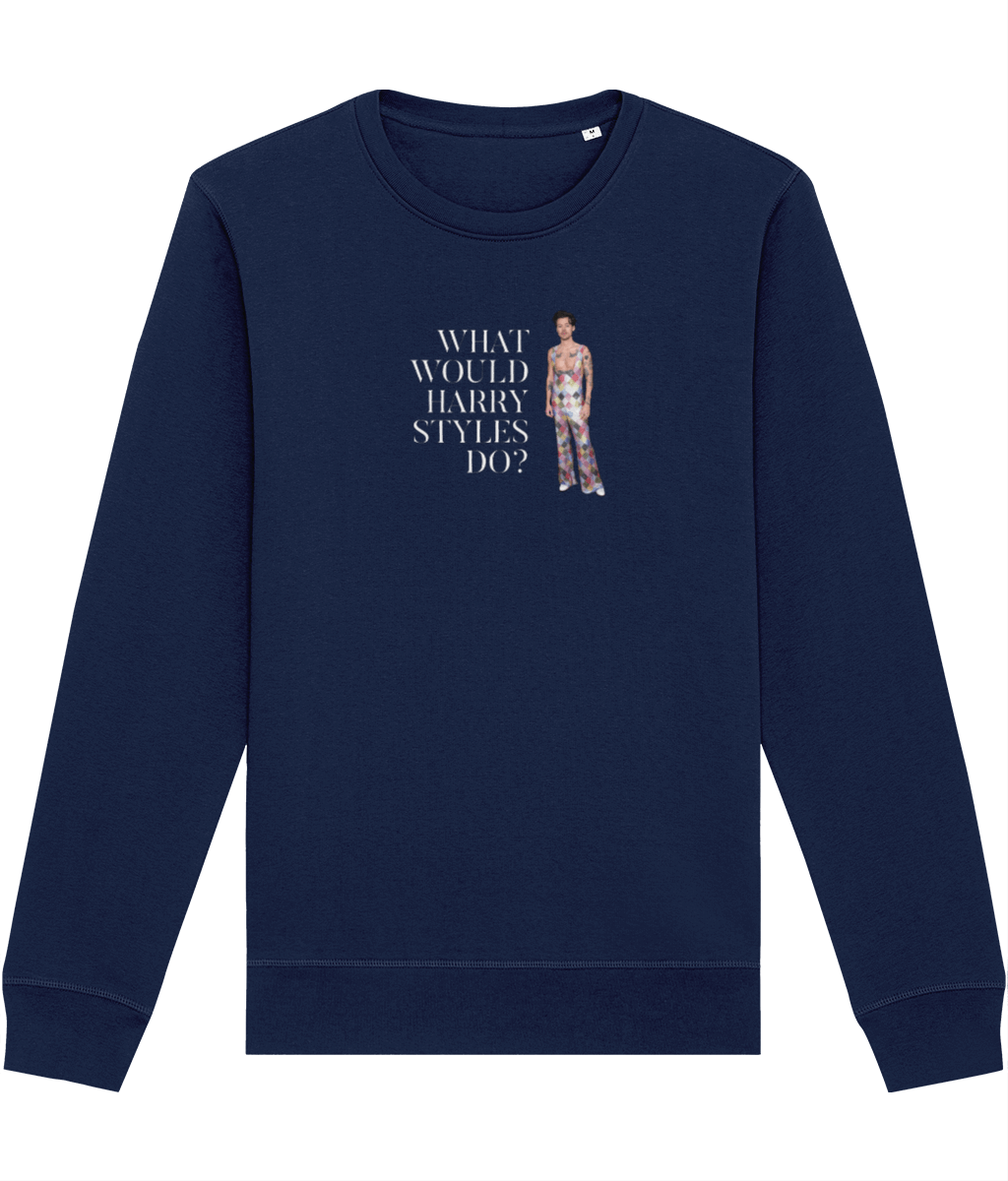 Contemporary 'What Would Harry Styles Do?' Organic Cotton Sweatshirt - Fun Sweatshirt