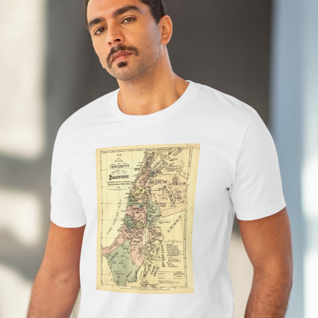 Palestine 'Rightful Map' Organic Cotton T-shirt - alquds